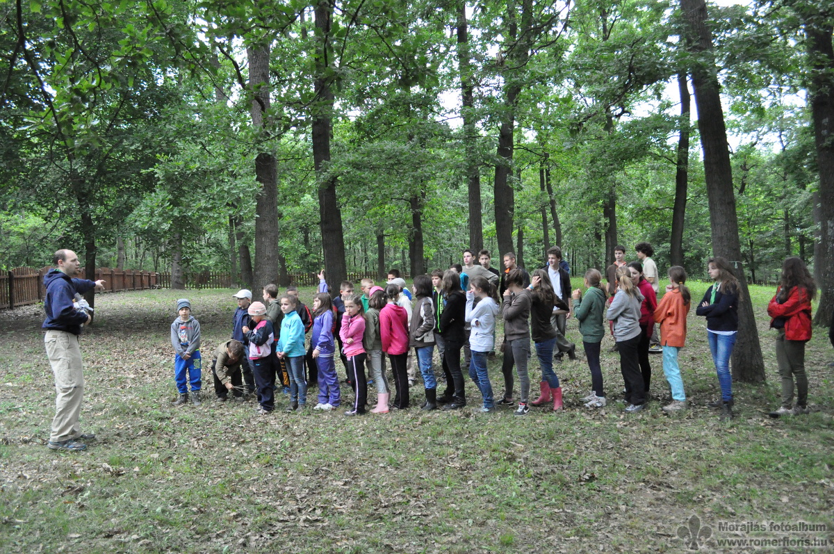 Eligazítás az új játék előtt