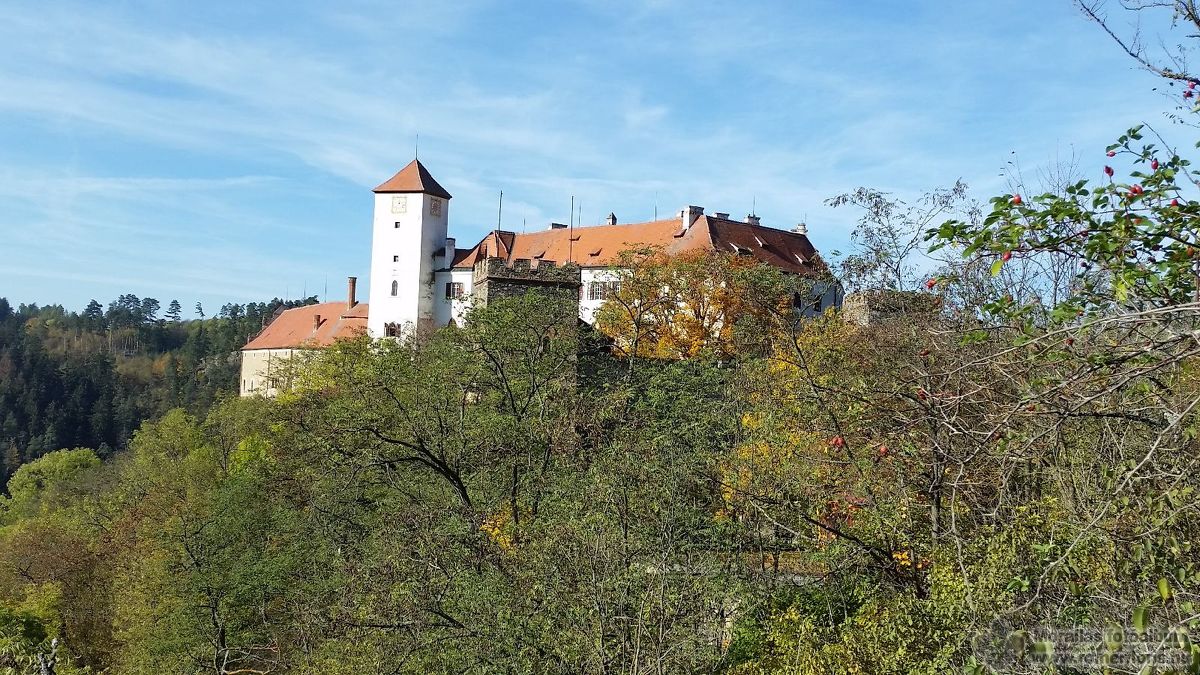 Bitov