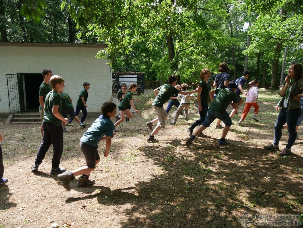 Óriás-törpe-sárkány