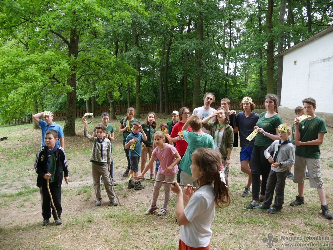 Népszámlálás II.