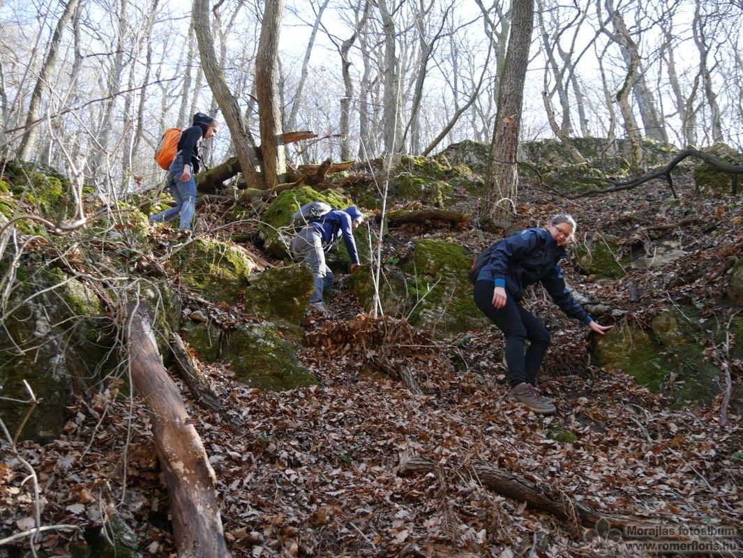 Ereszkedés a Hódos-érhez