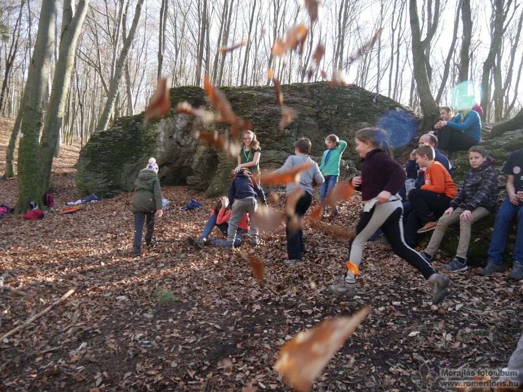 Hulló levelek közt