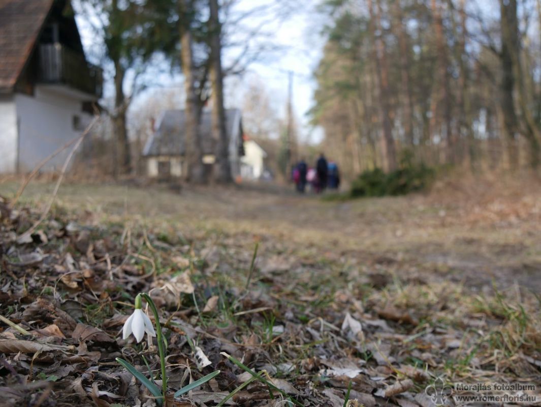 A Hódos-éri pihenőházaknál
