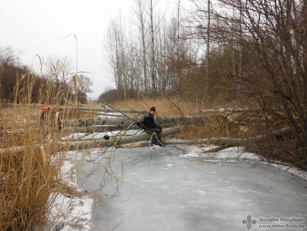 Ez mind a hódok munkája